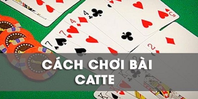 Học cách tính điểm bài Catte dễ dàng