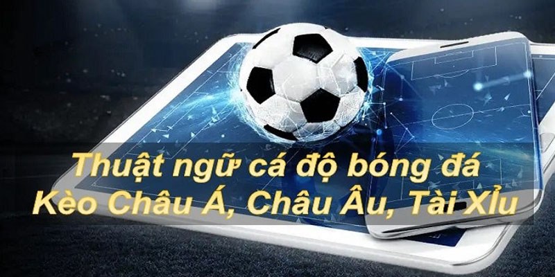 Hướng dẫn xem các kèo phổ biến trong cá độ thể thao vua